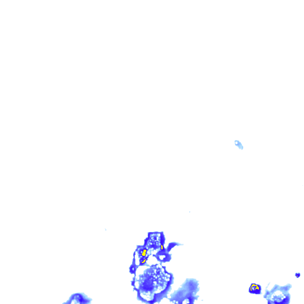 Image Layer