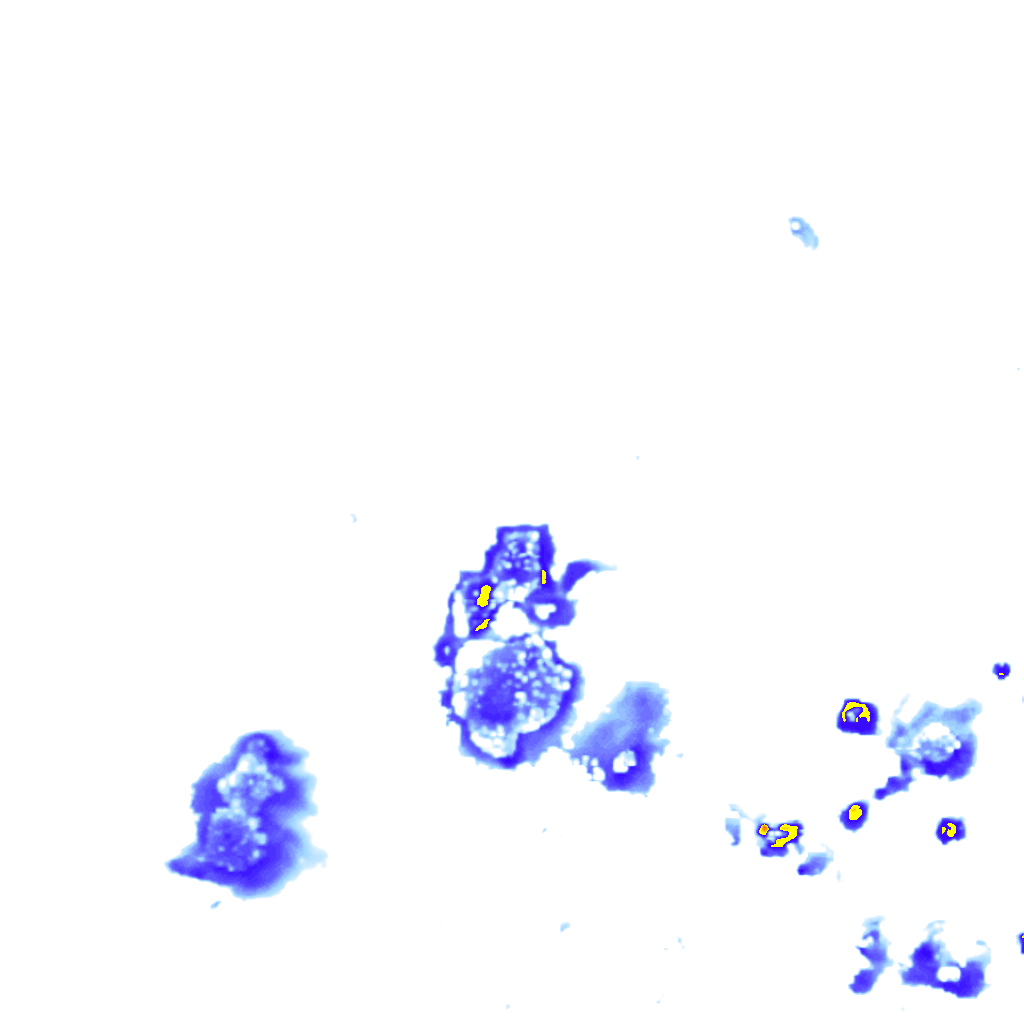 Image Layer