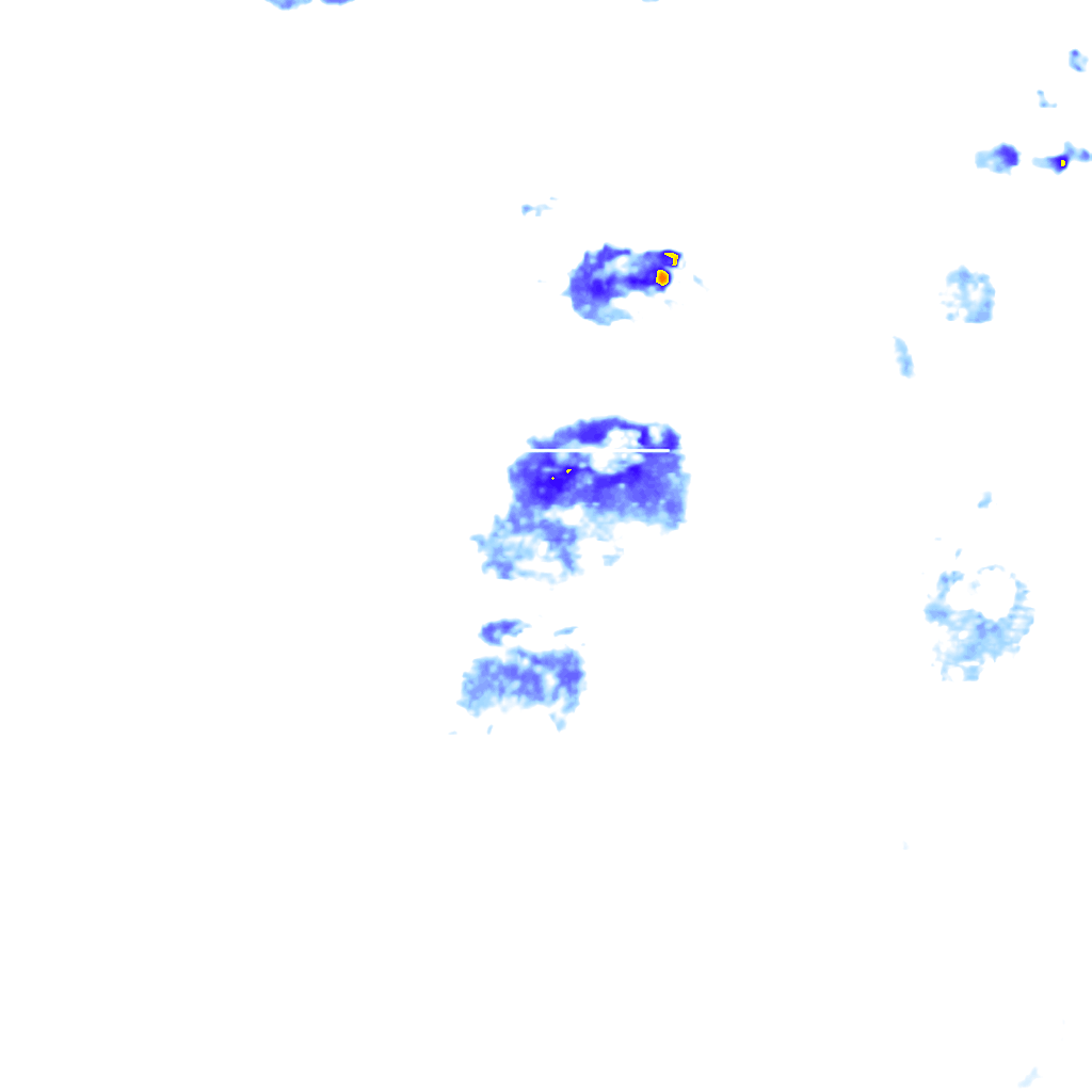 rainLayer