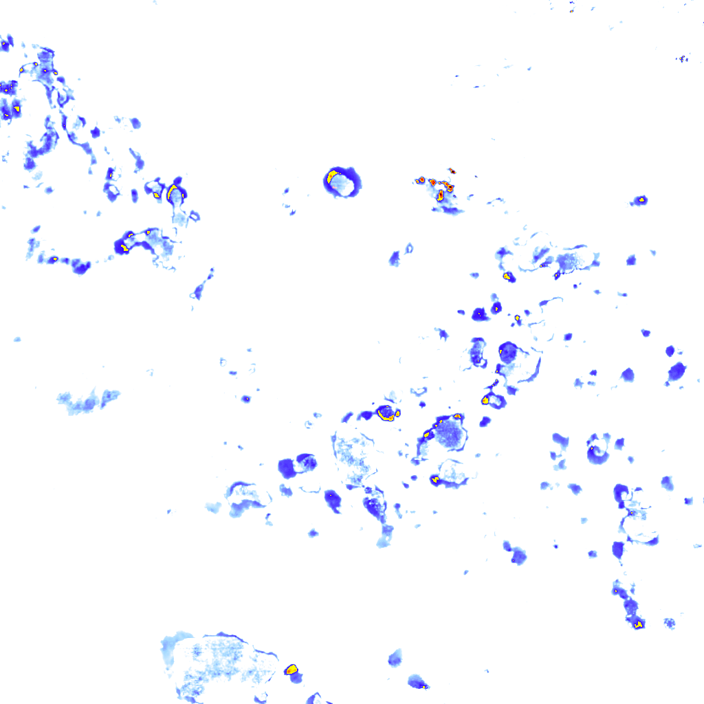 Image Layer
