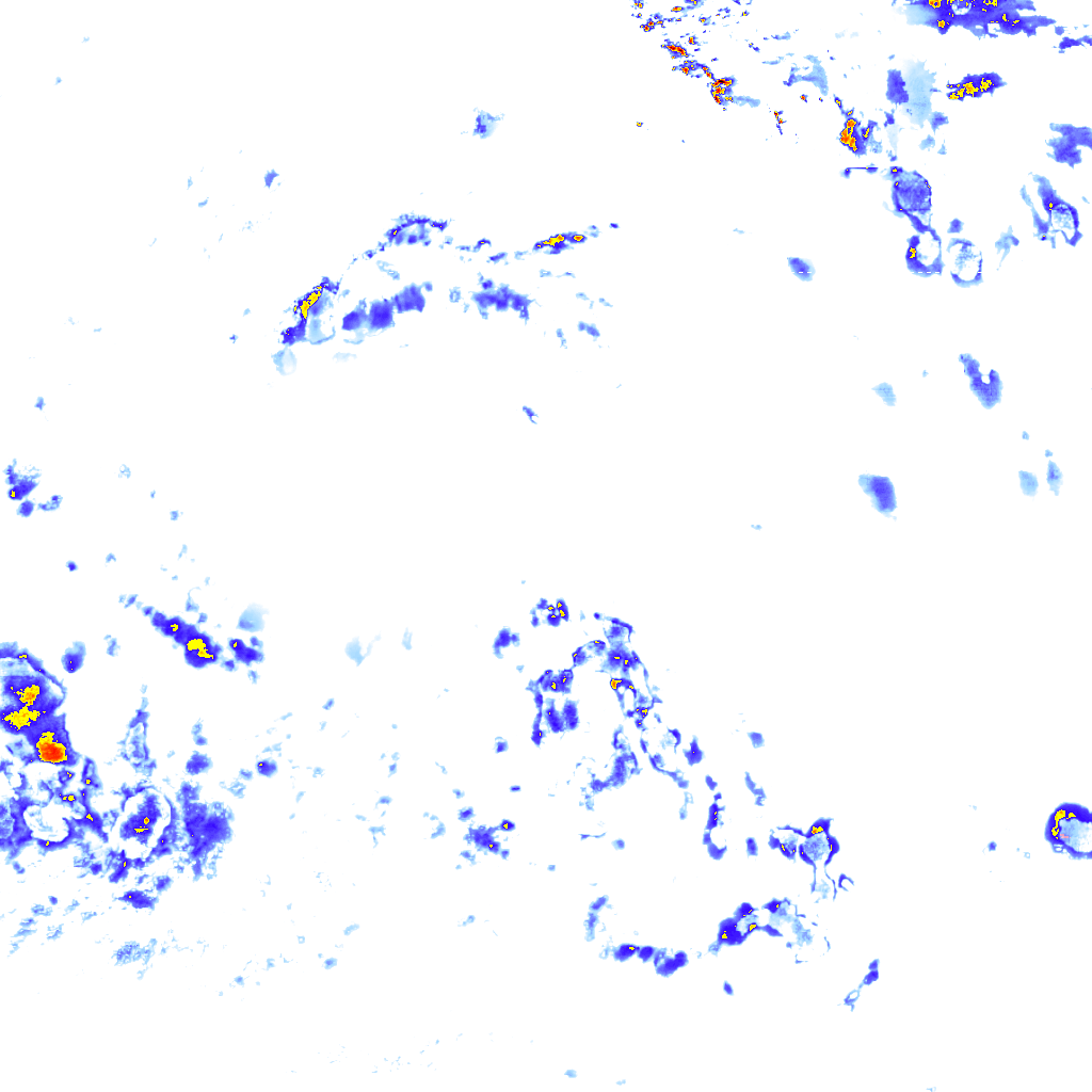 rainLayer