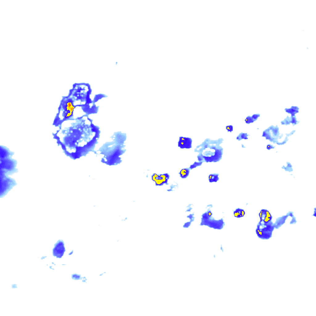 rainLayer