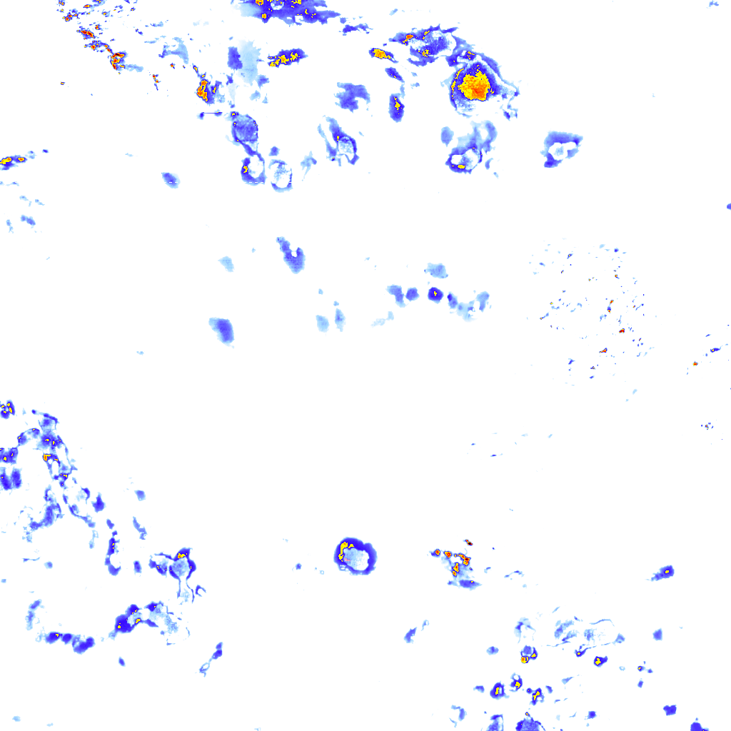 rainLayer