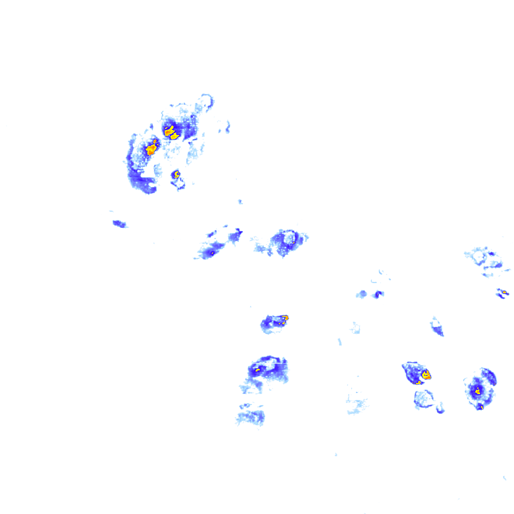 rainLayer
