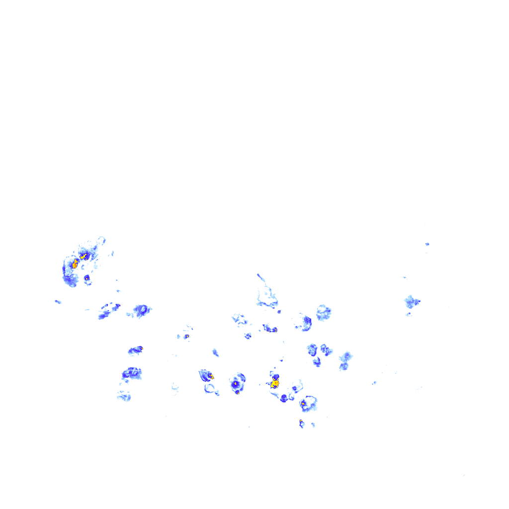 rainLayer