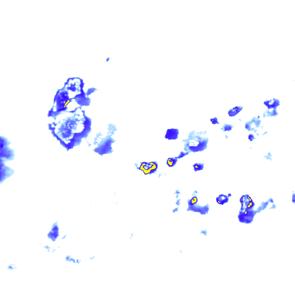 rainLayer