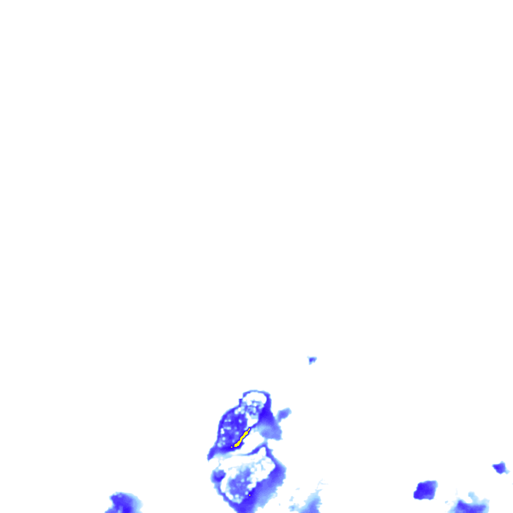 rainLayer