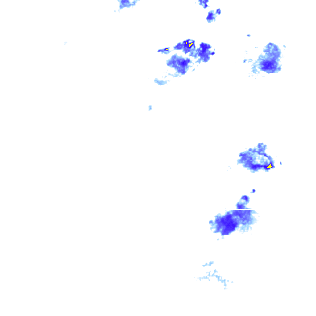 rainLayer