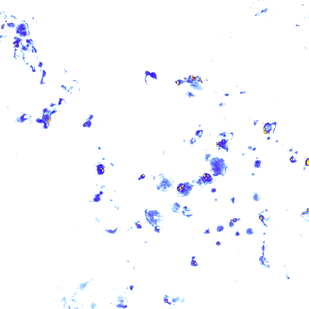 Image Layer