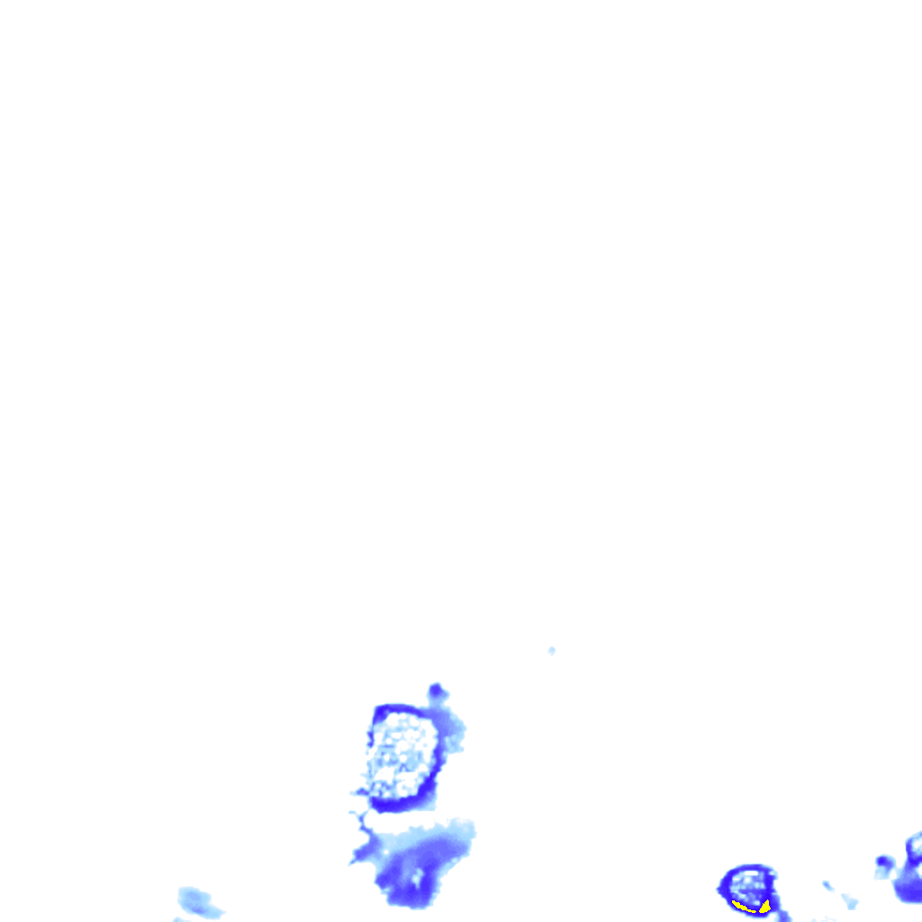 rainLayer
