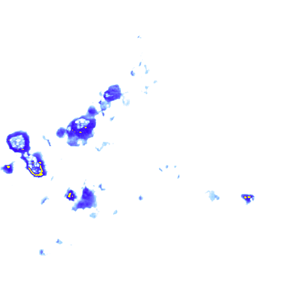 rainLayer