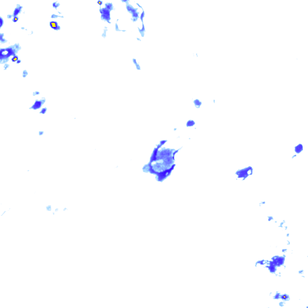 rainLayer