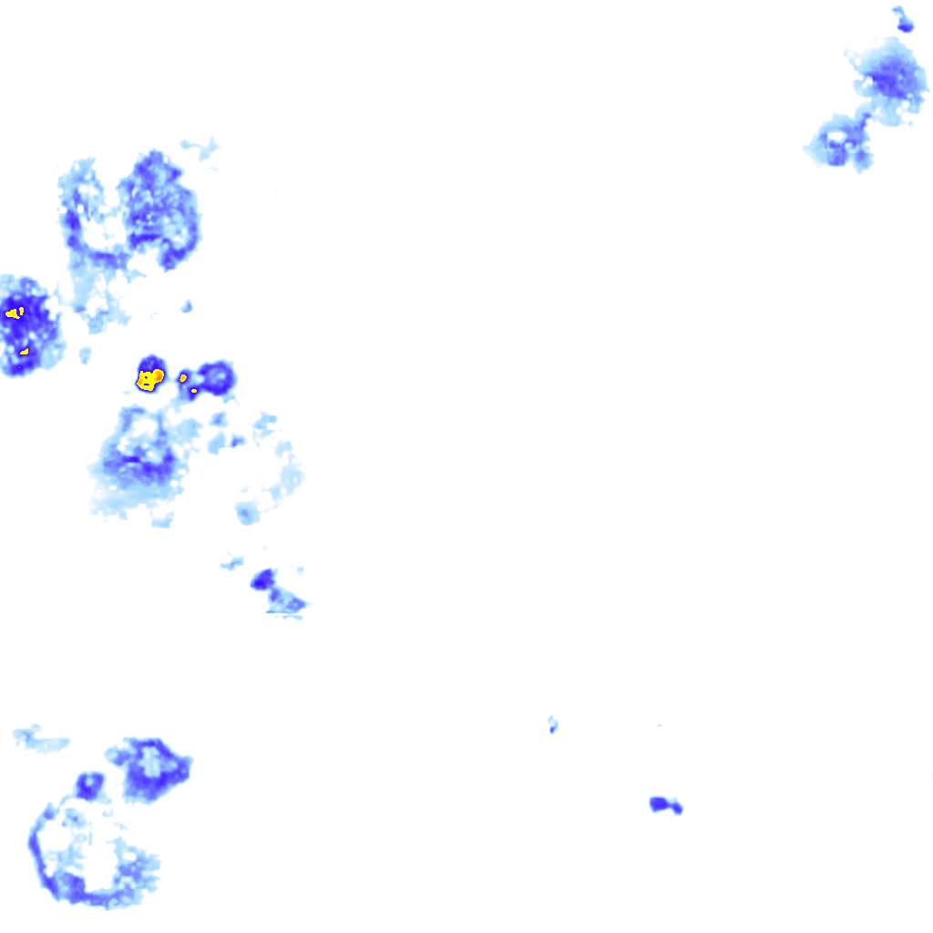 Image Layer