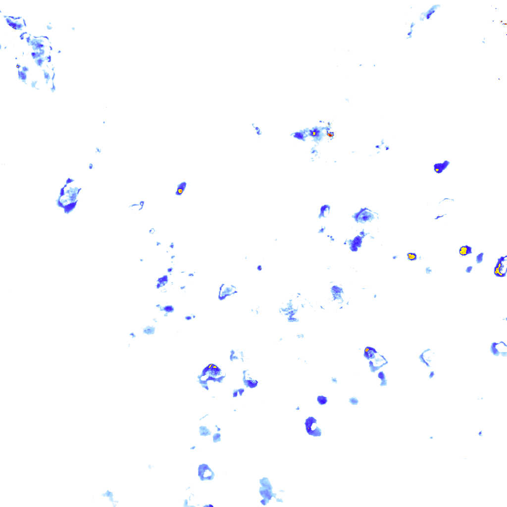 Image Layer