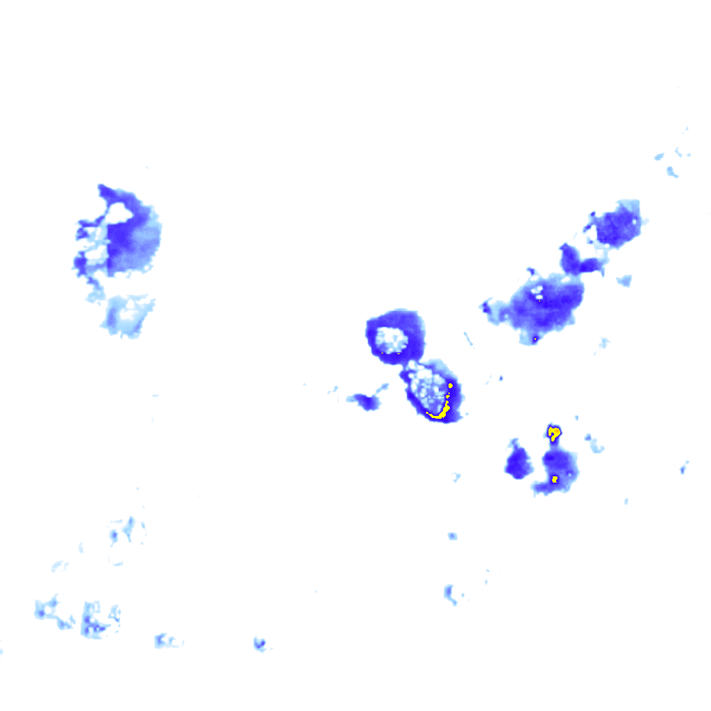 Image Layer