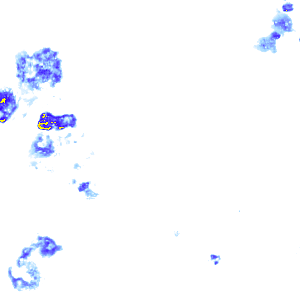 rainLayer