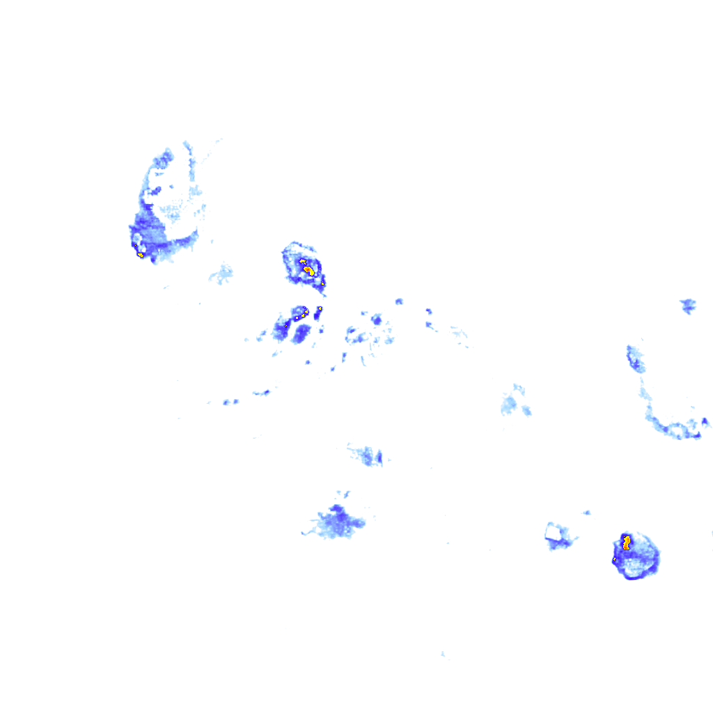 rainLayer
