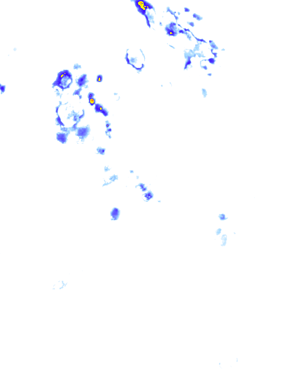rainLayer