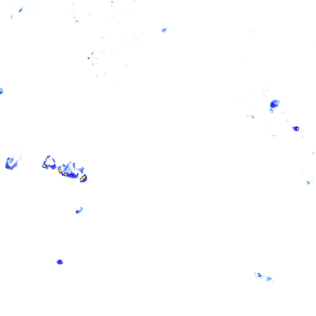 rainLayer