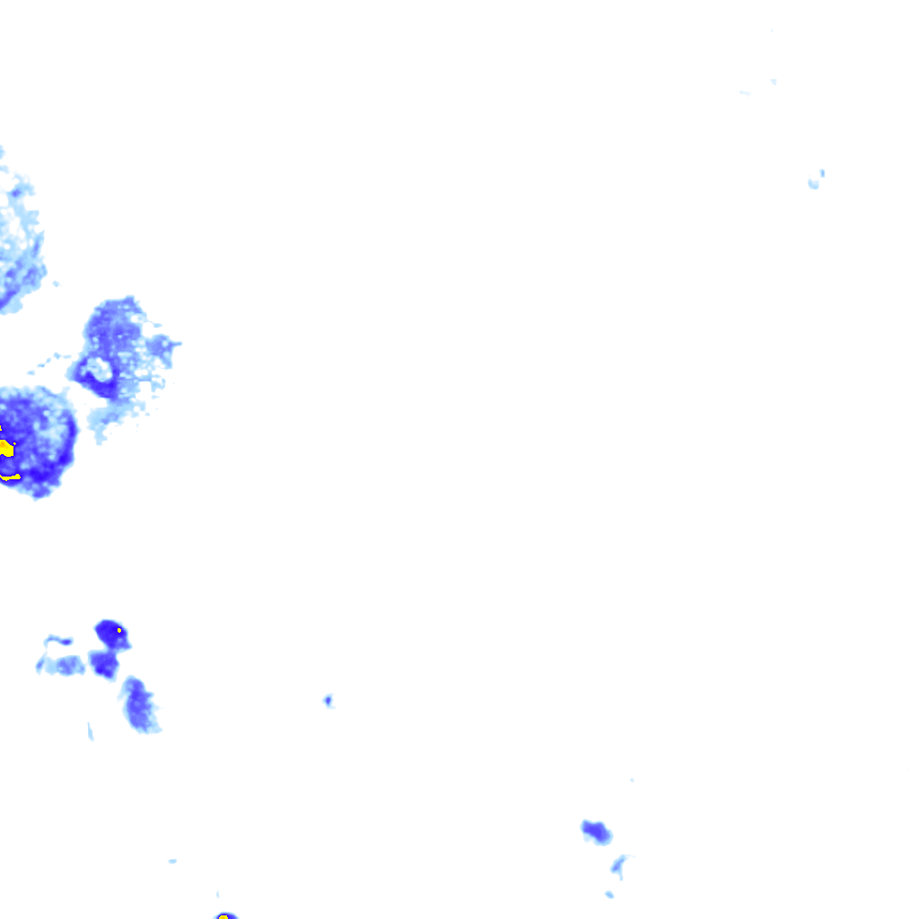 rainLayer