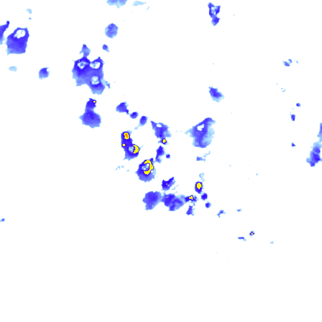 Image Layer