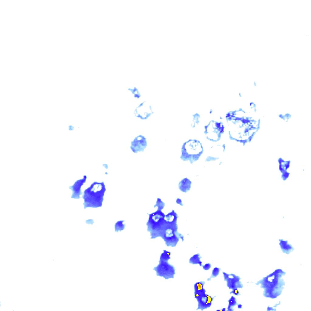 rainLayer