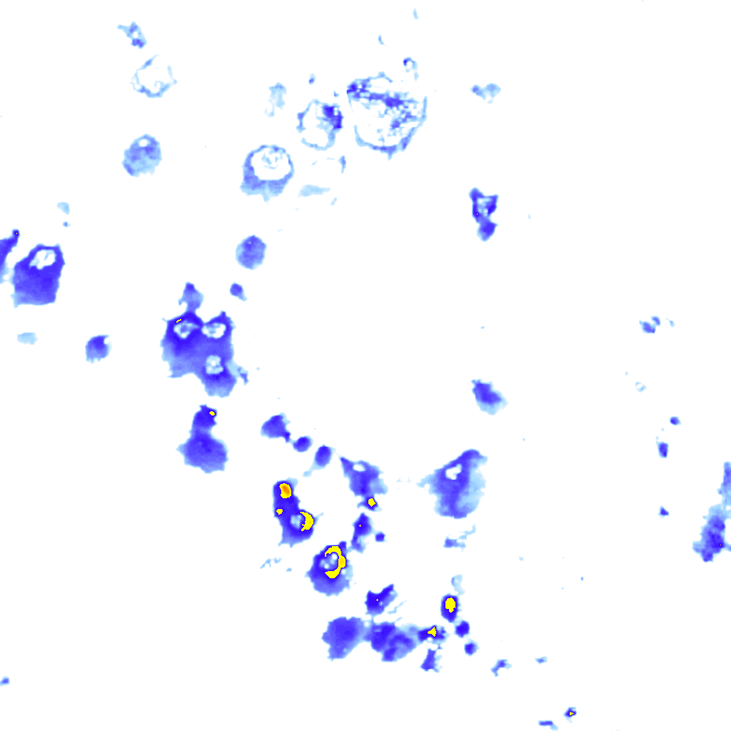 Image Layer