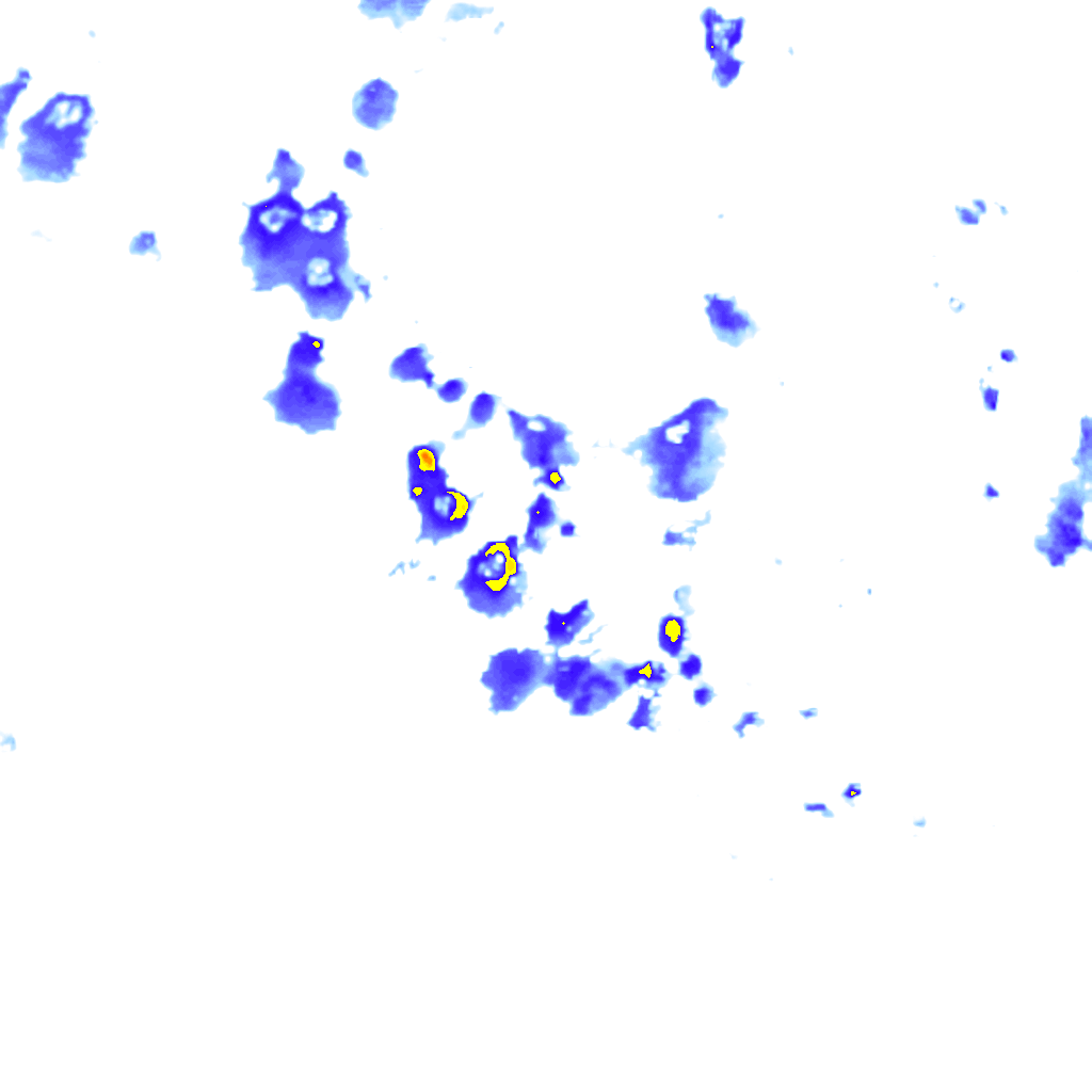 Image Layer