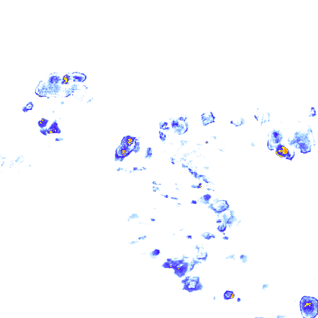 Image Layer