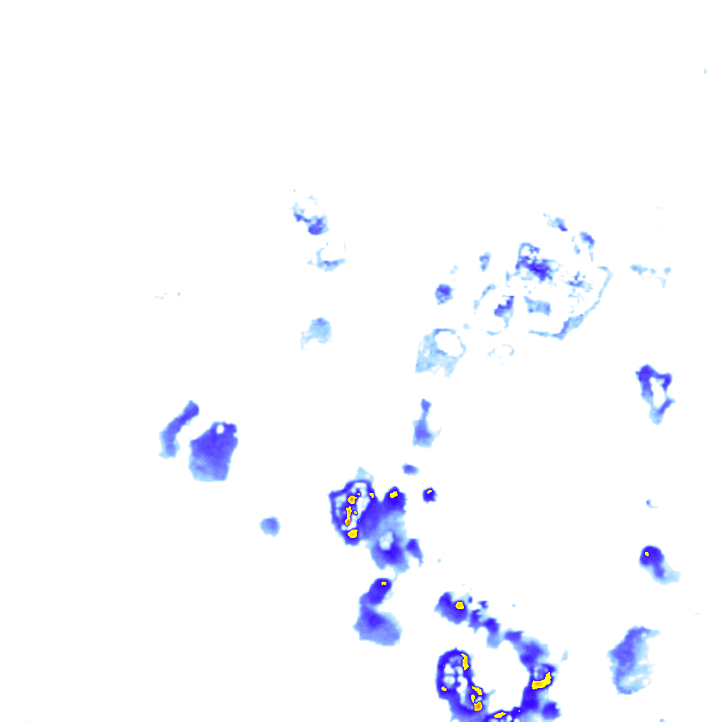rainLayer