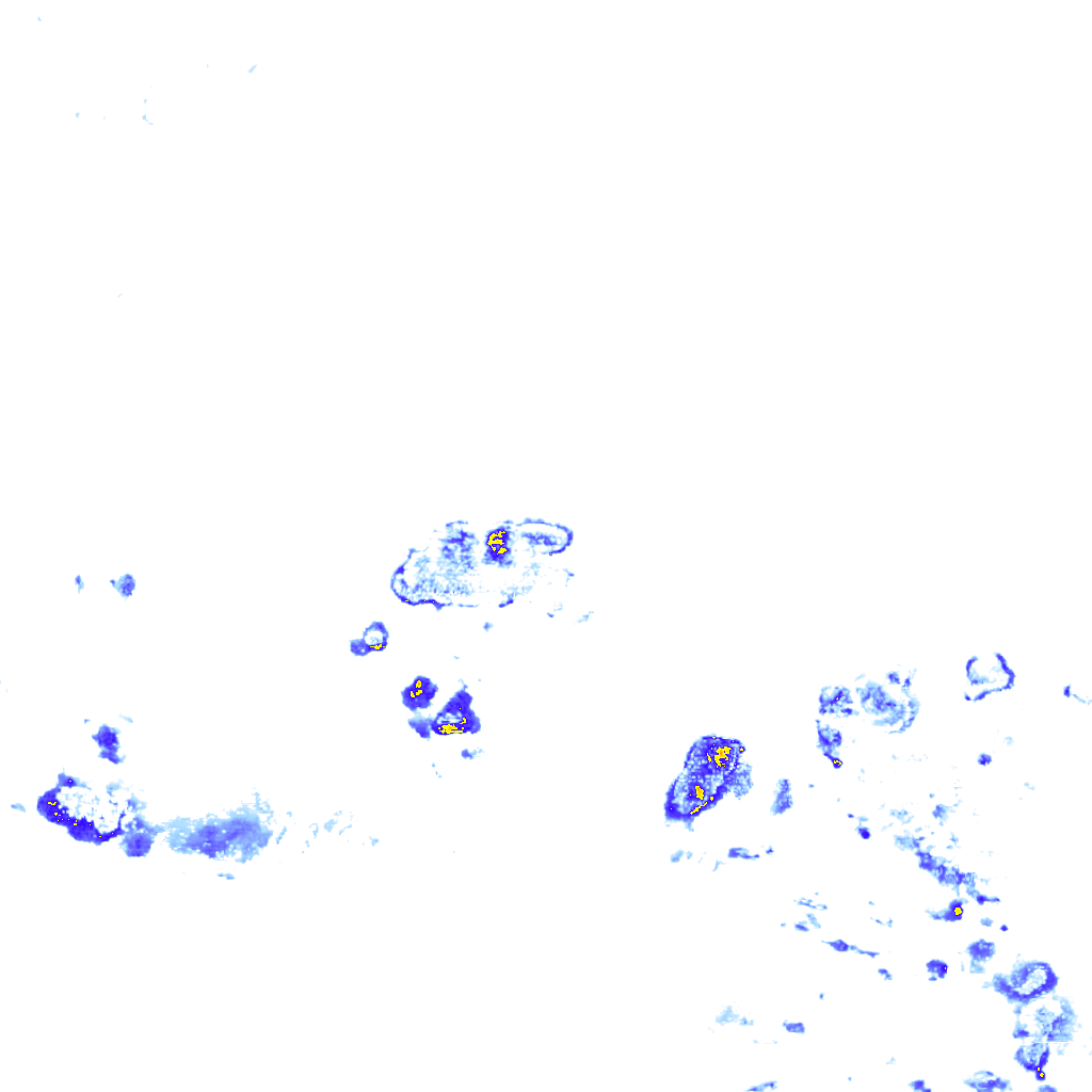rainLayer