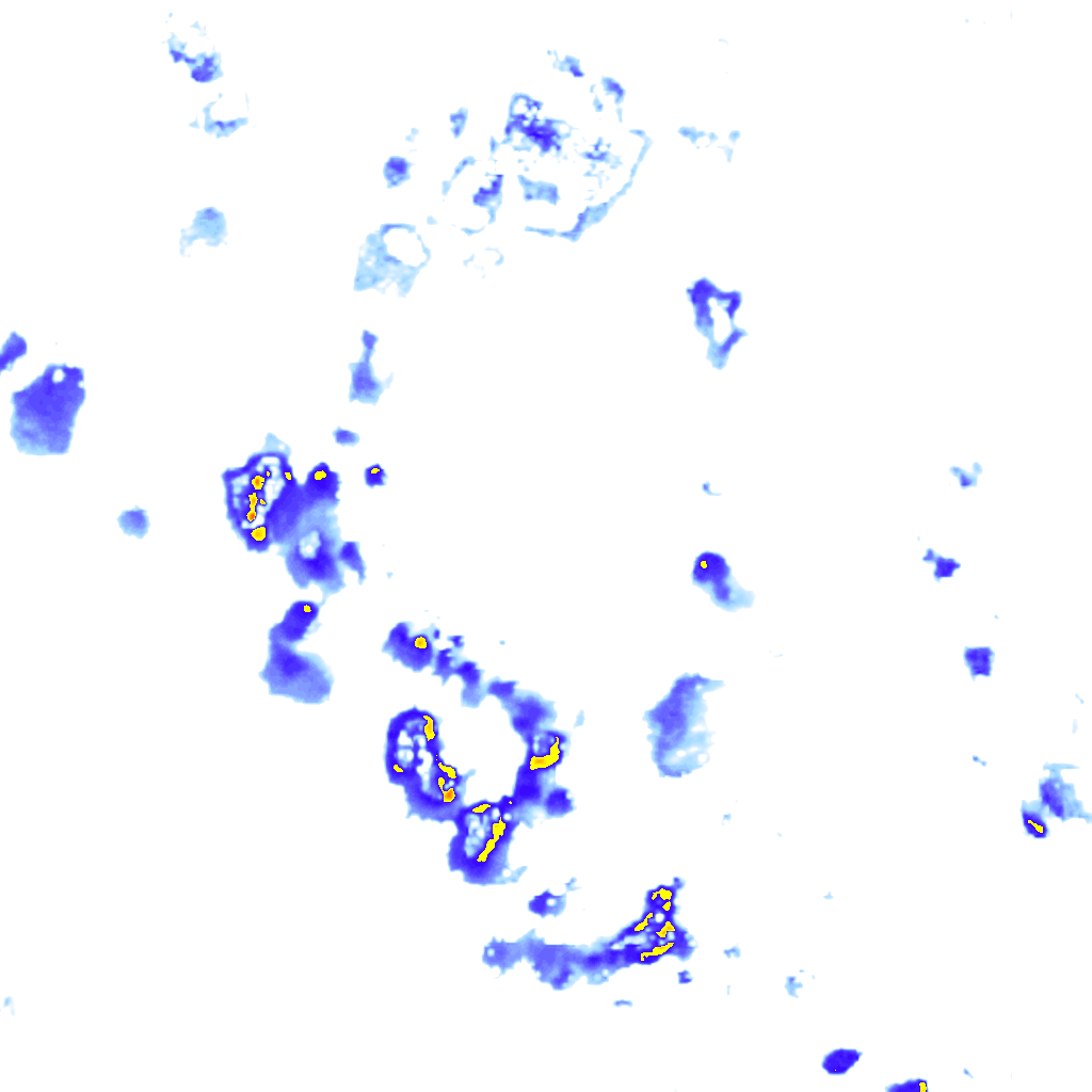 Image Layer
