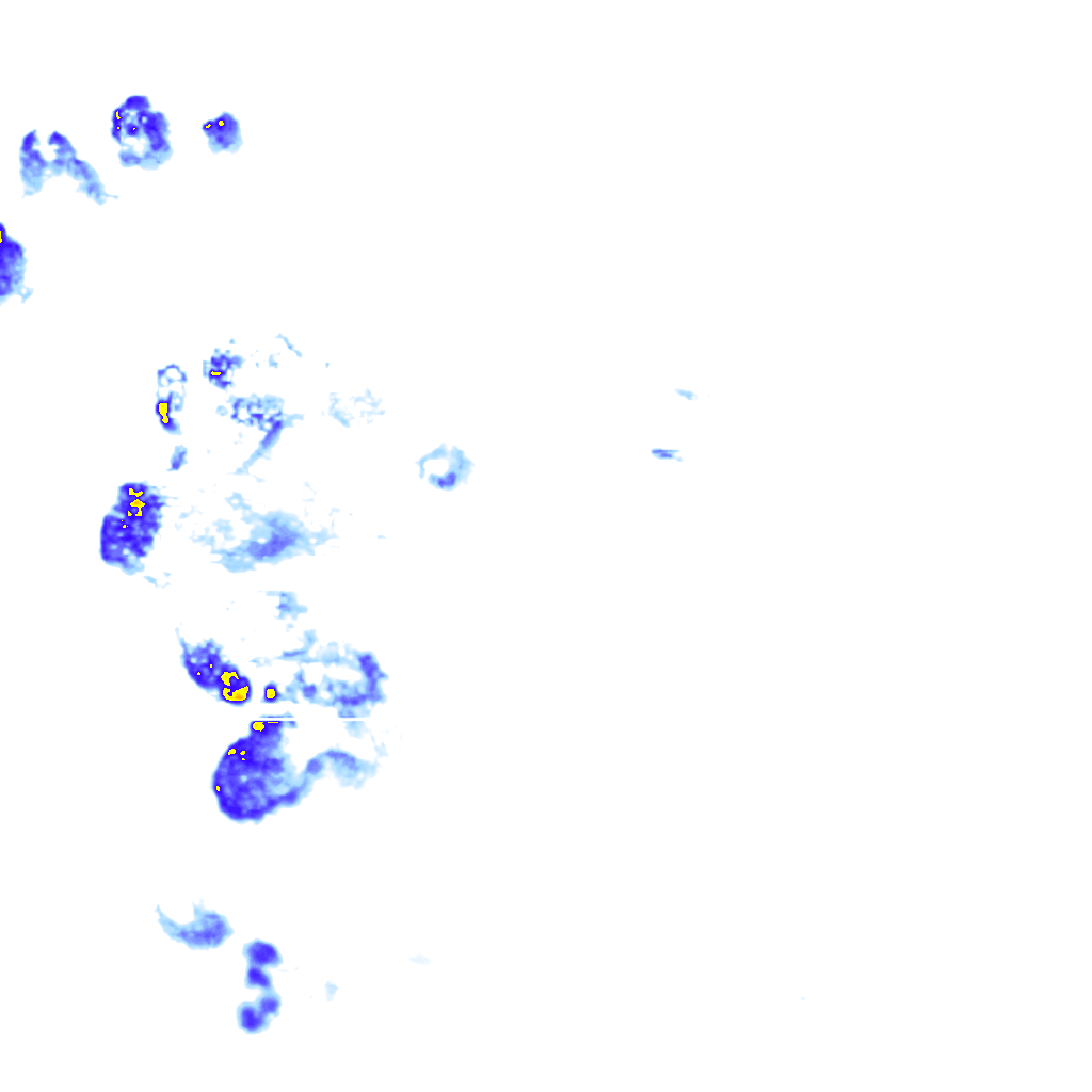rainLayer