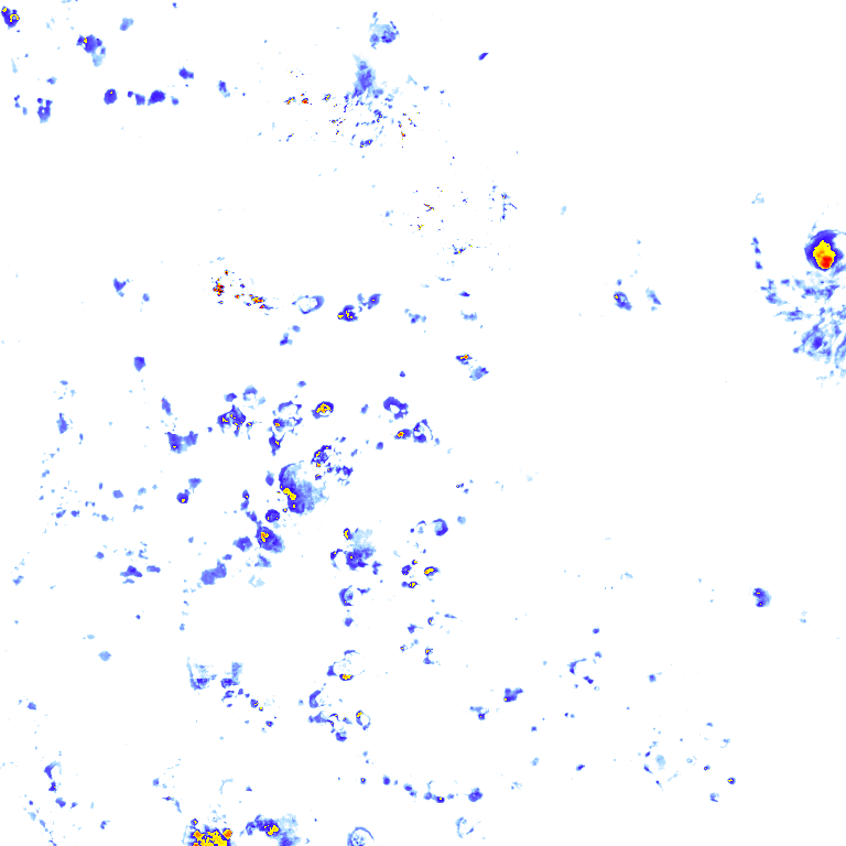 Image Layer