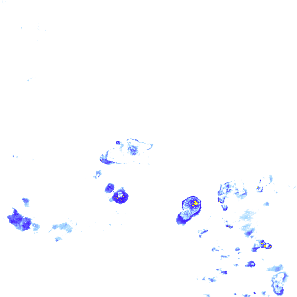 rainLayer