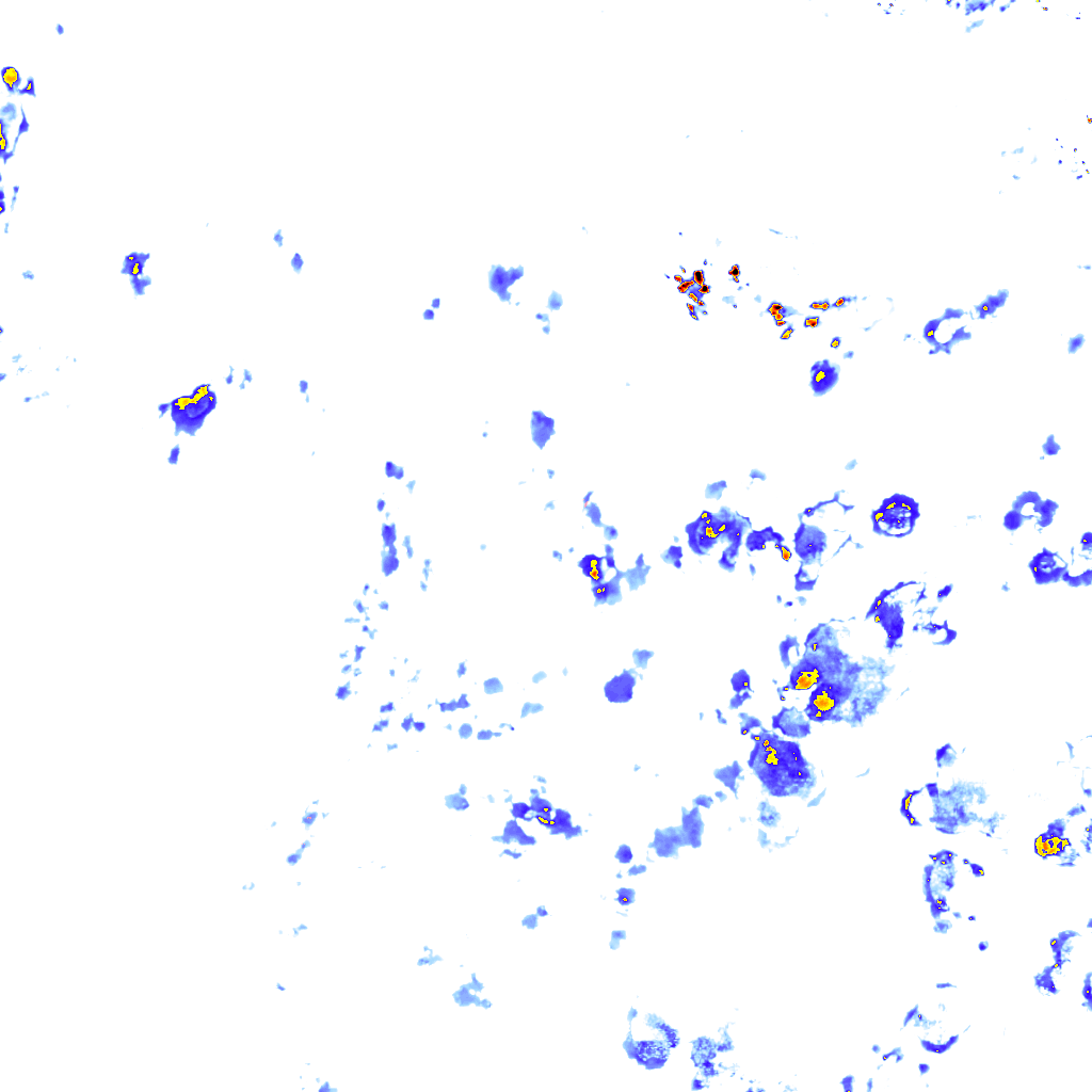 rainLayer