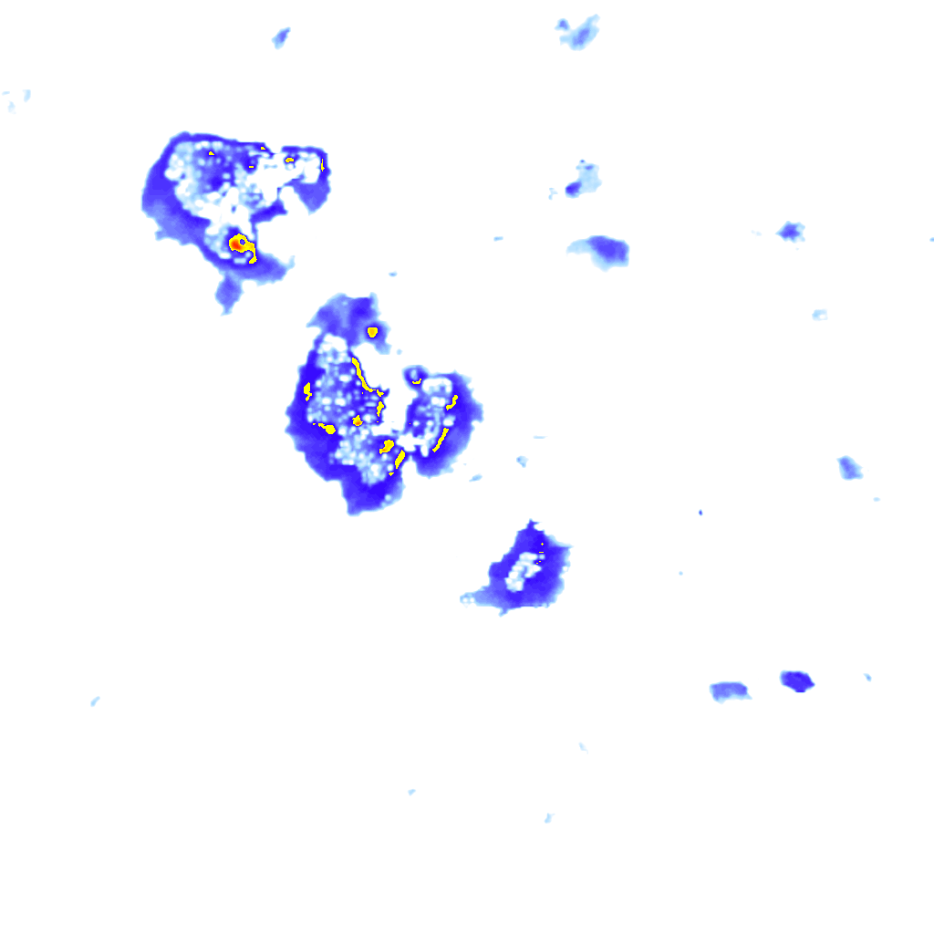 rainLayer