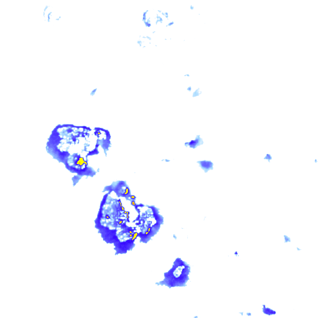 Image Layer
