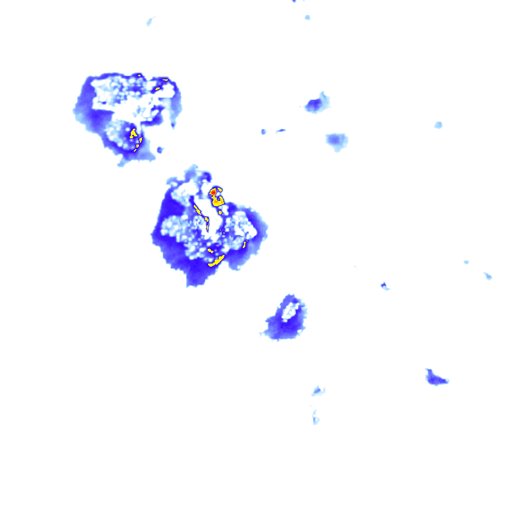 rainLayer