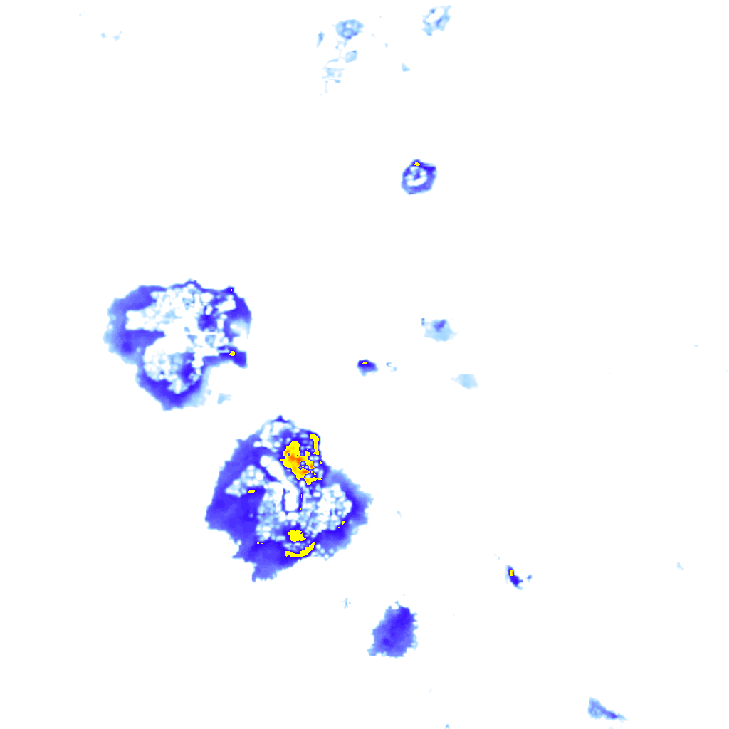 rainLayer