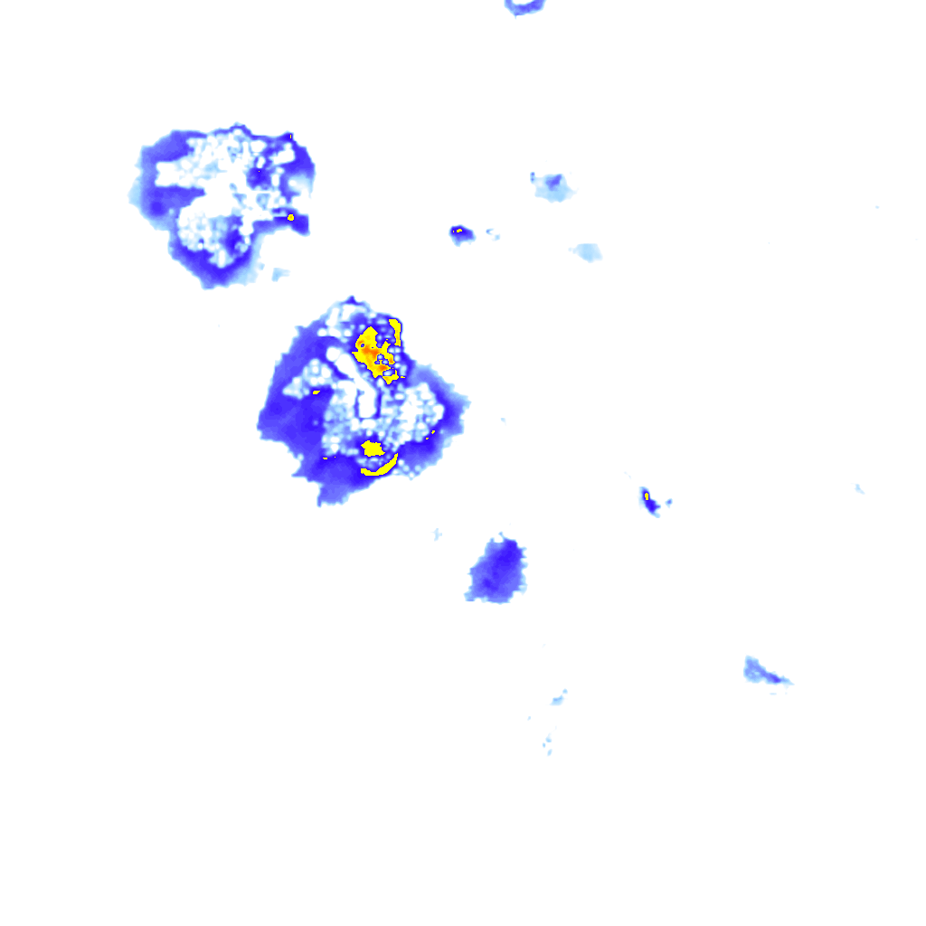 rainLayer
