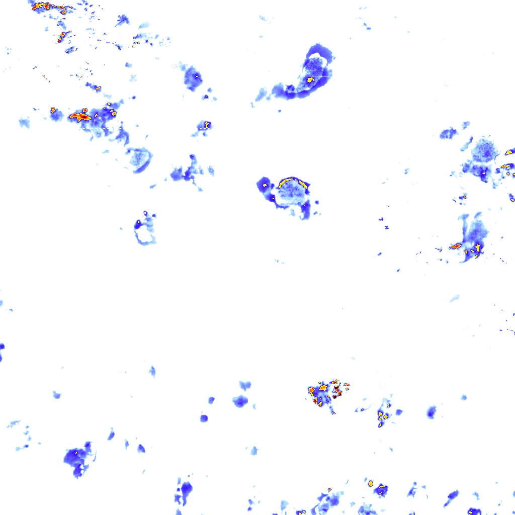 rainLayer