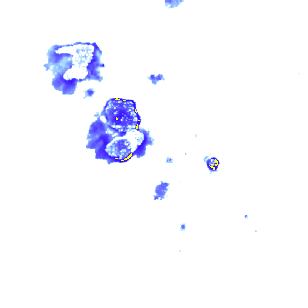 Image Layer