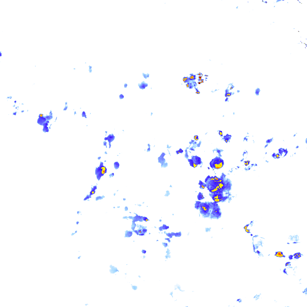 rainLayer