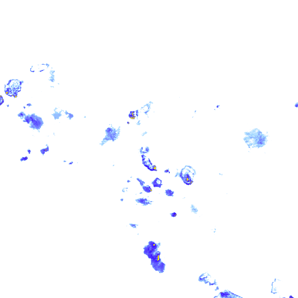 rainLayer