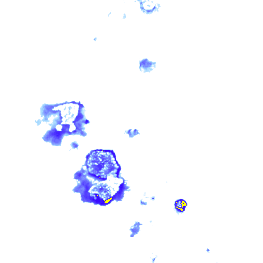 rainLayer