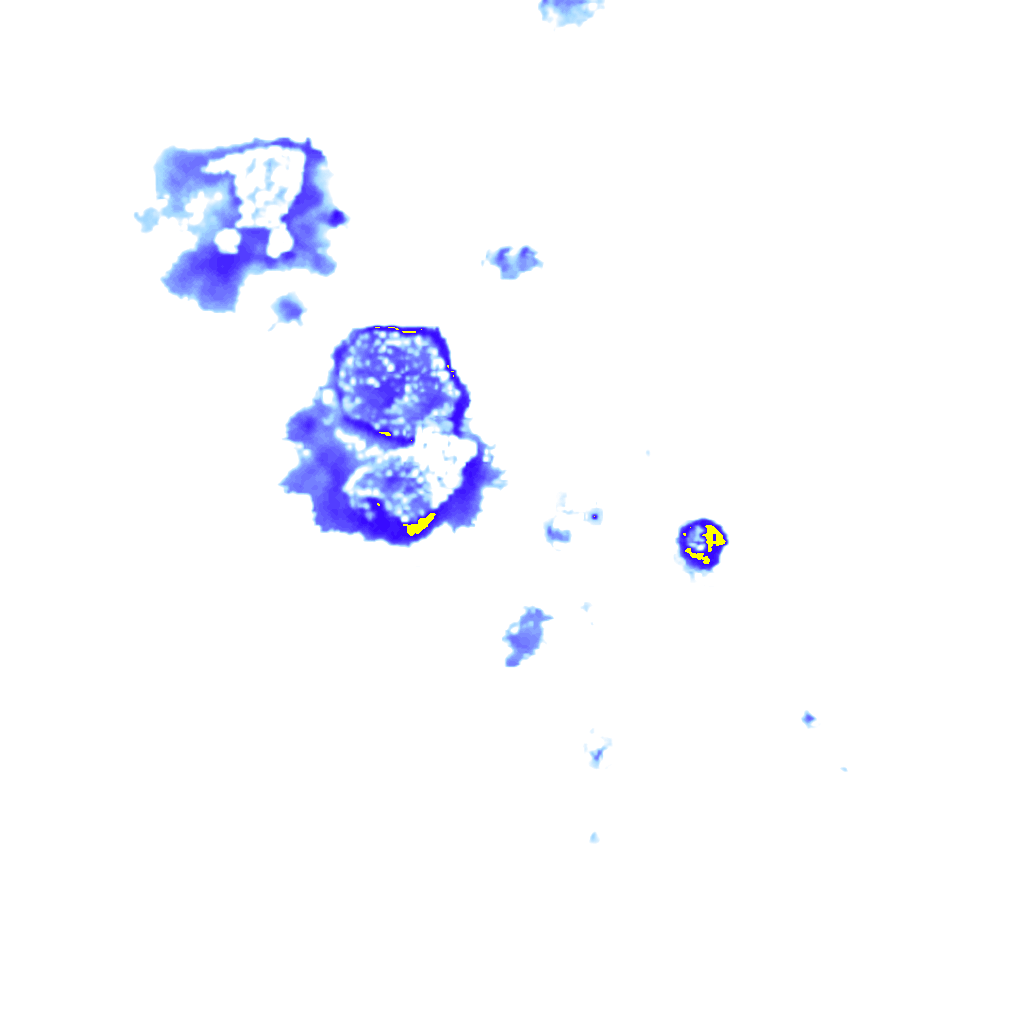 rainLayer