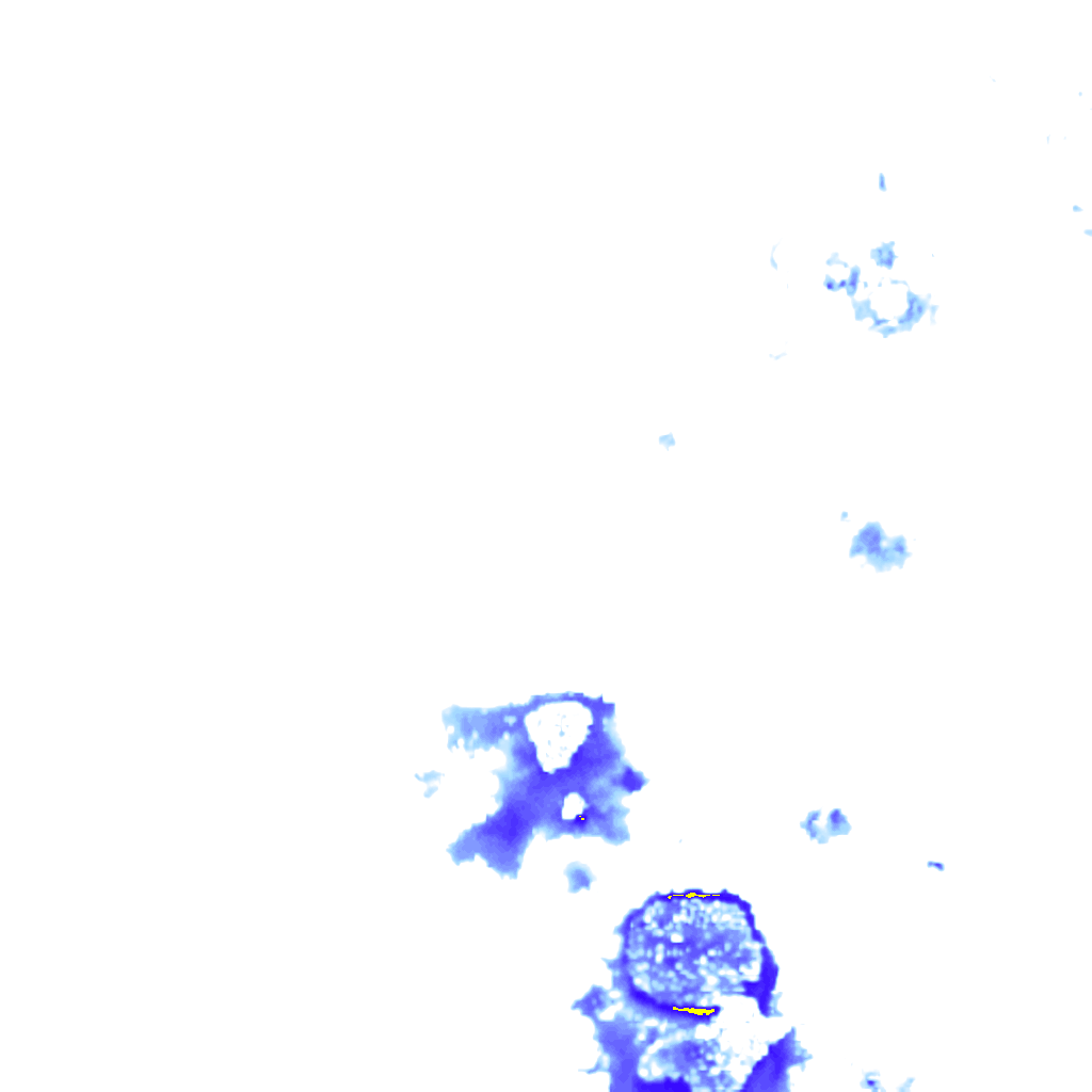 rainLayer