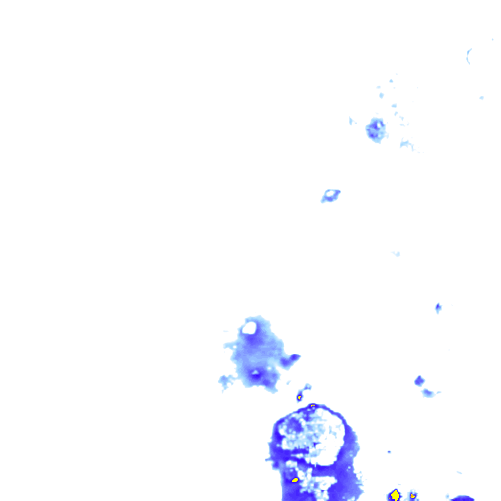 rainLayer