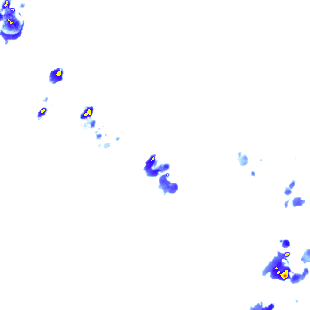 rainLayer